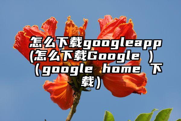 怎么下载googleapp(怎么下载Google )（google home 下载）