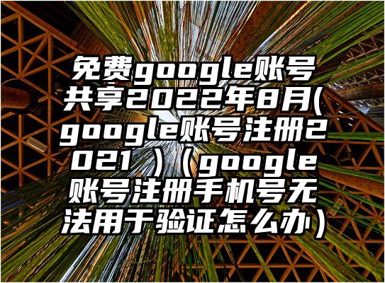 免费google账号共享2022年8月(google账号注册2021 )（google账号注册手机号无法用于验证怎么办）