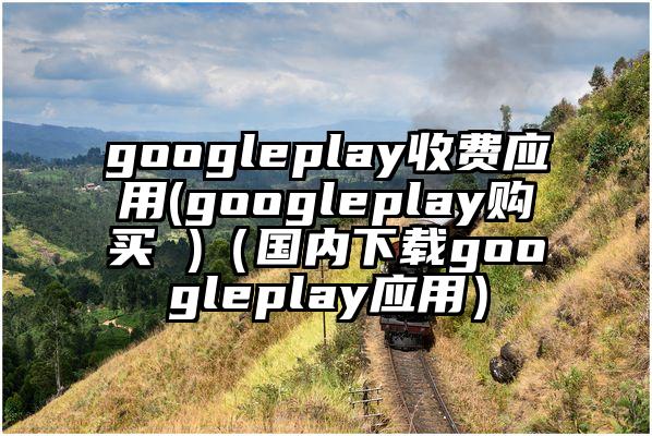 googleplay收费应用(googleplay购买 )（国内下载googleplay应用）
