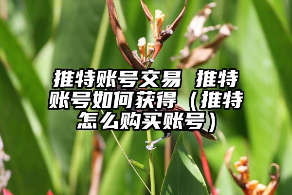 推特账号交易 推特账号如何获得（推特怎么购买账号）