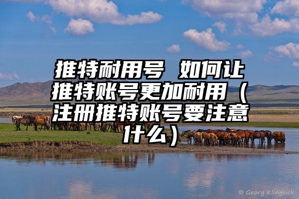 推特耐用号 如何让推特账号更加耐用（注册推特账号要注意什么）