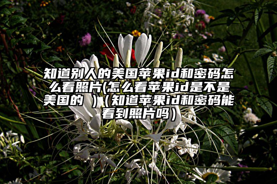 知道别人的美国苹果id和密码怎么看照片(怎么看苹果id是不是美国的 )（知道苹果id和密码能看到照片吗）