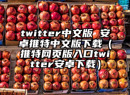 twitter中文版 安卓推特中文版下载（推特网页版入口twitter安卓下载）