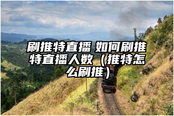 刷推特直播　如何刷推特直播人数（推特怎么刷推）