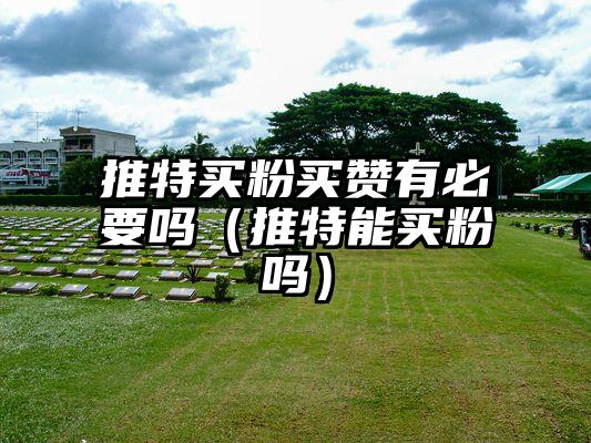 推特买粉买赞有必要吗（推特能买粉吗）