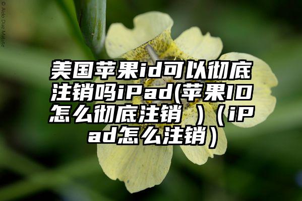 美国苹果id可以彻底注销吗iPad(苹果ID怎么彻底注销 )(iPad怎么注销)