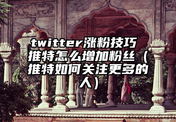 twitter涨粉技巧 推特怎么增加粉丝（推特如何关注更多的人）