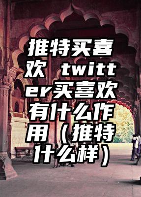 推特买喜欢 twitter买喜欢有什么作用（推特什么样）