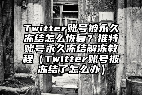Twitter账号被永久冻结怎么恢复？推特账号永久冻结解冻教程（Twitter账号被冻结了怎么办）