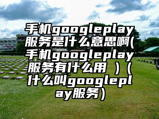 手机googleplay服务是什么意思啊(手机googleplay服务有什么用 )（什么叫googleplay服务）