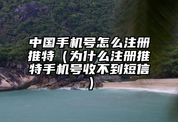 中国手机号怎么注册推特（为什么注册推特手机号收不到短信）