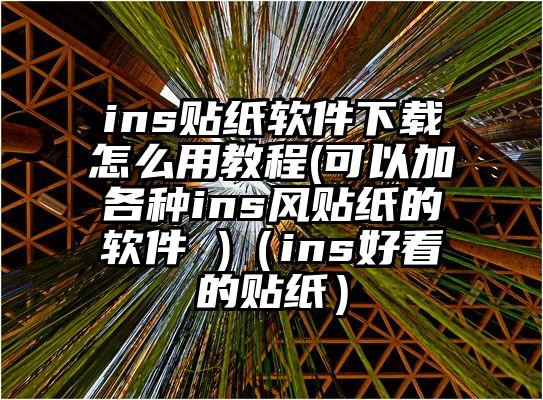 ins贴纸软件下载怎么用教程(可以加各种ins风贴纸的软件 )（ins好看的贴纸）