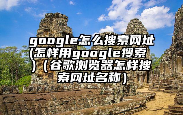 google怎么搜索网址(怎样用google搜索 )(谷歌浏览器怎样搜索网址名称)