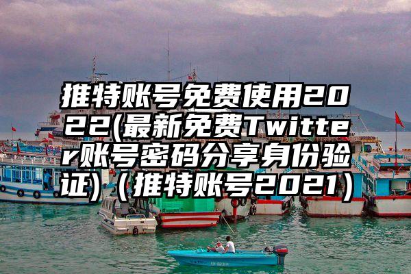 推特账号免费使用2022(最新免费Twitter账号密码分享身份验证)（推特账号2021）
