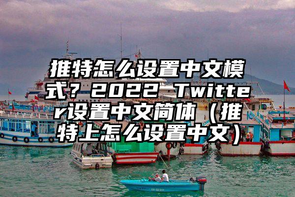 推特怎么设置中文模式？2022 Twitter设置中文简体（推特上怎么设置中文）