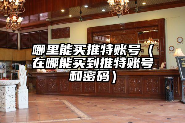 哪里能买推特账号（在哪能买到推特账号和密码）
