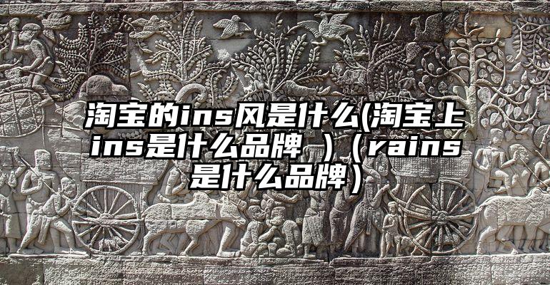 淘宝的ins风是什么(淘宝上ins是什么品牌 )（rains是什么品牌）