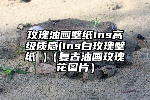 玫瑰油画壁纸ins高级质感(ins白玫瑰壁纸 )(复古油画玫瑰花图片)