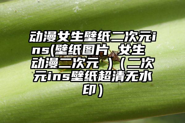 动漫女生壁纸二次元ins(壁纸图片 女生 动漫二次元 )（二次元ins壁纸超清无水印）