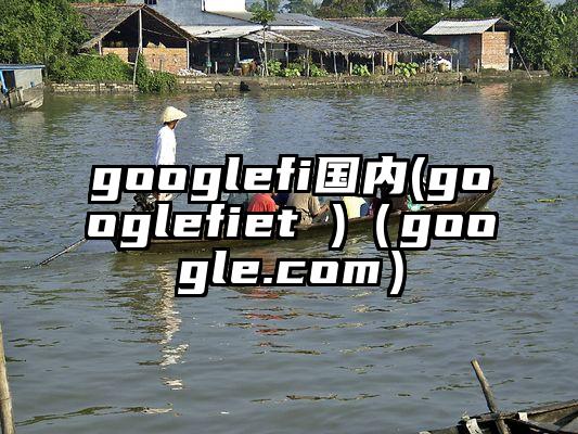 googlefi国内(googlefiet )（google.com）