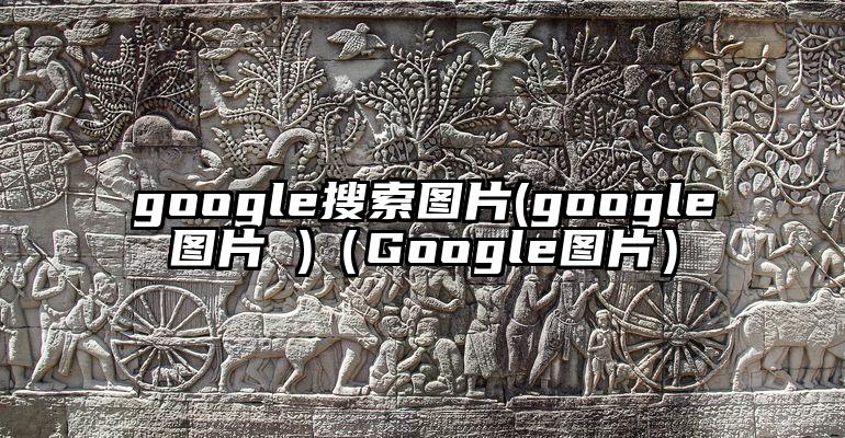 google搜索图片(google图片 )（Google图片）