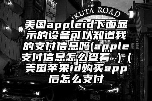 美国appleid下面显示的设备可以知道我的支付信息吗(apple支付信息怎么查看 )（美国苹果id购买app后怎么支付