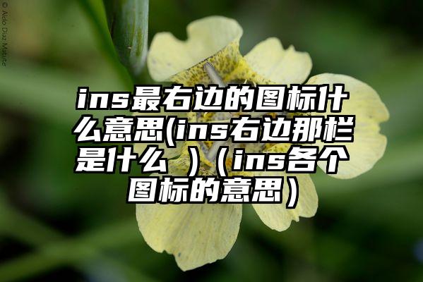 ins最右边的图标什么意思(ins右边那栏是什么 )(ins各个图标的意思)