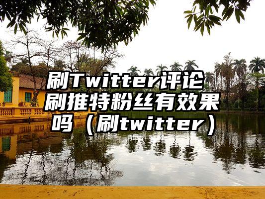 刷Twitter评论 刷推特粉丝有效果吗（刷twitter）