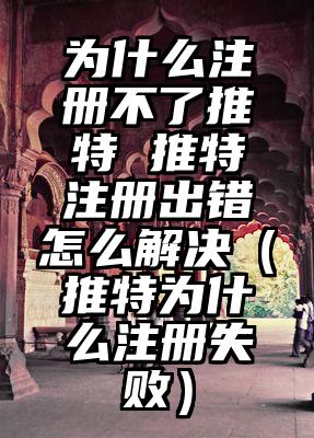 为什么注册不了推特 推特注册出错怎么解决（推特为什么注册失败）