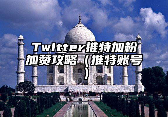 Twitter推特加粉加赞攻略（推特账号）