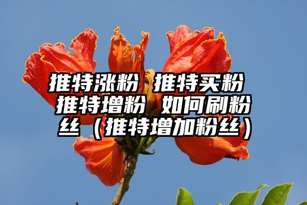 推特涨粉 推特买粉 推特增粉 如何刷粉丝（推特增加粉丝）