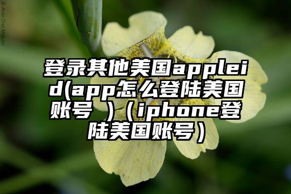 登录其他美国appleid(app怎么登陆美国账号 )（iphone登陆美国账号）