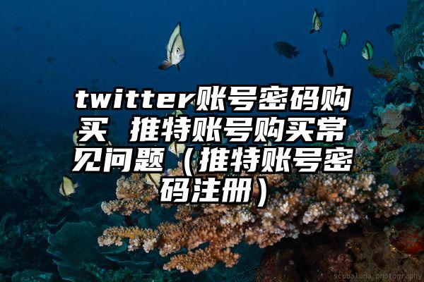 twitter账号密码购买 推特账号购买常见问题（推特账号密码注册）