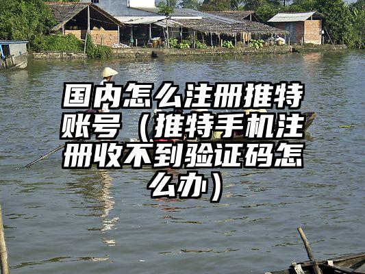 国内怎么注册推特账号（推特手机注册收不到验证码怎么办）