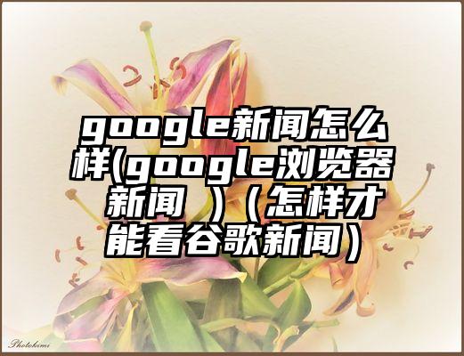 google新闻怎么样(google浏览器 新闻 )（怎样才能看谷歌新闻）