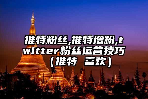 推特粉丝,推特增粉,twitter粉丝运营技巧（推特 喜欢）