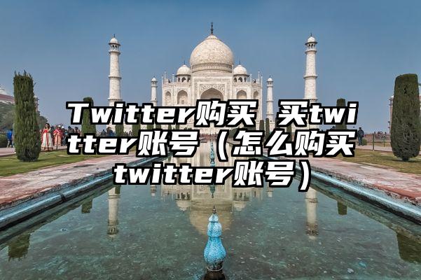 Twitter购买 买twitter账号（怎么购买twitter账号）