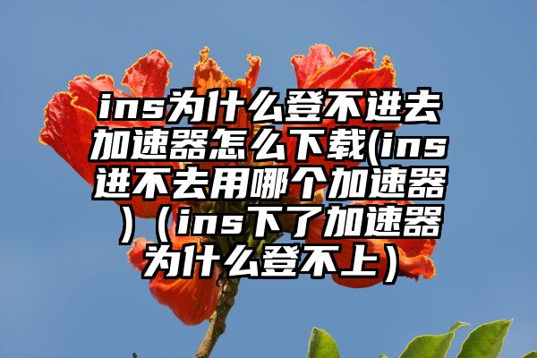 ins为什么登不进去加速器怎么下载(ins进不去用哪个加速器 )（ins下了加速器为什么登不上）