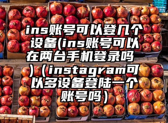 ins账号可以登几个设备(ins账号可以在两台手机登录吗 )（instagram可以多设备登陆一个账号吗）