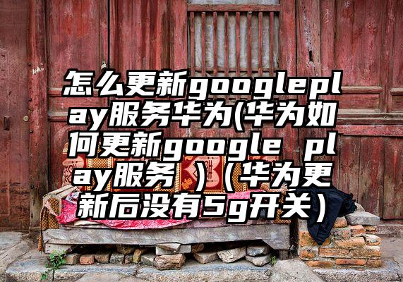怎么更新googleplay服务华为(华为如何更新google play服务 )（华为更新后没有5g开关）