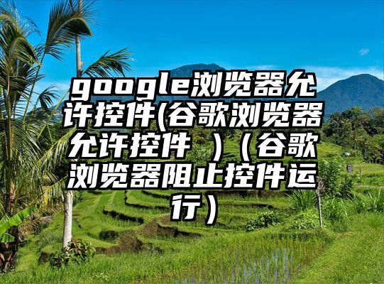 google浏览器允许控件(谷歌浏览器允许控件 )(谷歌浏览器阻止控件运行)