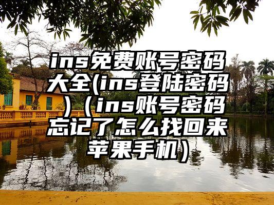 ins免费账号密码大全(ins登陆密码 )（ins账号密码忘记了怎么找回来苹果手机）