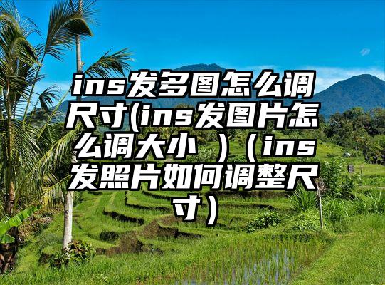 ins发多图怎么调尺寸(ins发图片怎么调大小 )（ins发照片如何调整尺寸）