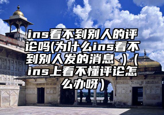 ins看不到别人的评论吗(为什么ins看不到别人发的消息 )（ins上看不懂评论怎么办呀）