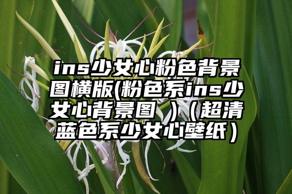 ins少女心粉色背景图横版(粉色系ins少女心背景图 )（超清蓝色系少女心壁纸）