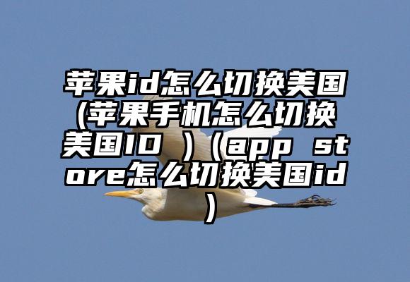 苹果id怎么切换美国(苹果手机怎么切换美国ID )（app store怎么切换美国id）