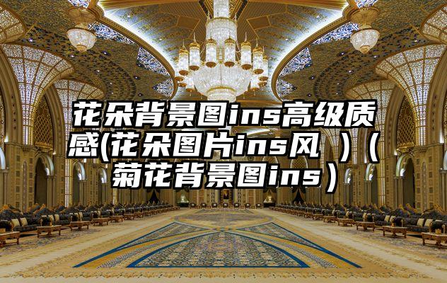 花朵背景图ins高级质感(花朵图片ins风 )（菊花背景图ins）