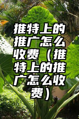 推特上的推广怎么收费（推特上的推广怎么收费）