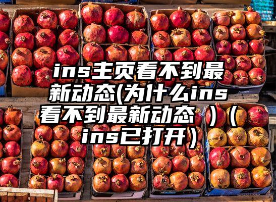 ins主页看不到最新动态(为什么ins看不到最新动态 )（ins已打开）