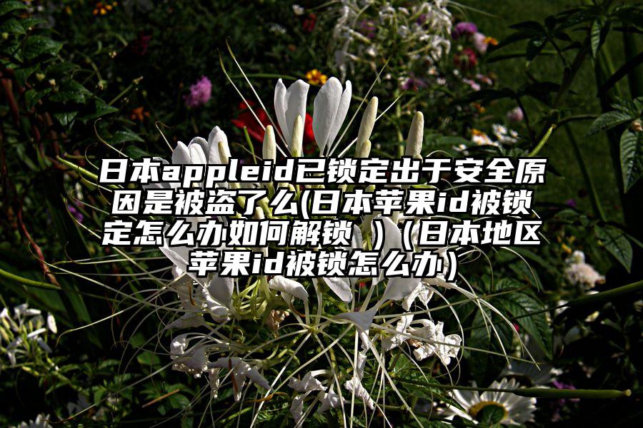 日本appleid已锁定出于安全原因是被盗了么(日本苹果id被锁定怎么办如何解锁 )（日本地区苹果id被锁怎么办）